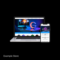 CUSTOM DROPSHIPPING STORE