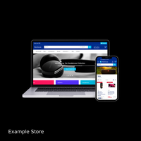 CUSTOM DROPSHIPPING STORE
