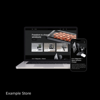 CUSTOM DROPSHIPPING STORE