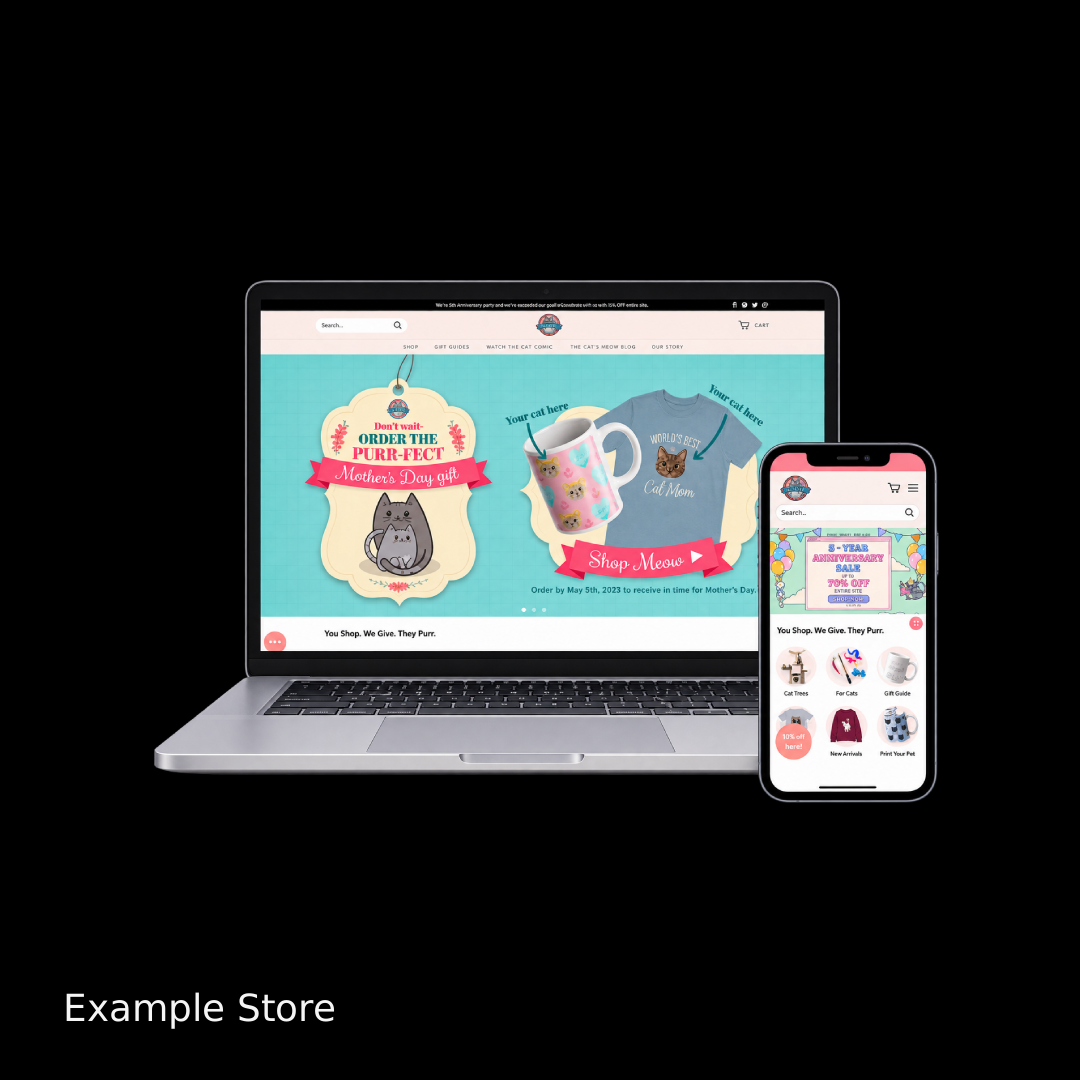 CUSTOM DROPSHIPPING STORE