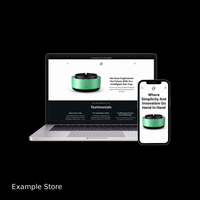 CUSTOM DROPSHIPPING STORE