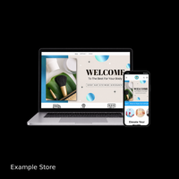 CUSTOM DROPSHIPPING STORE