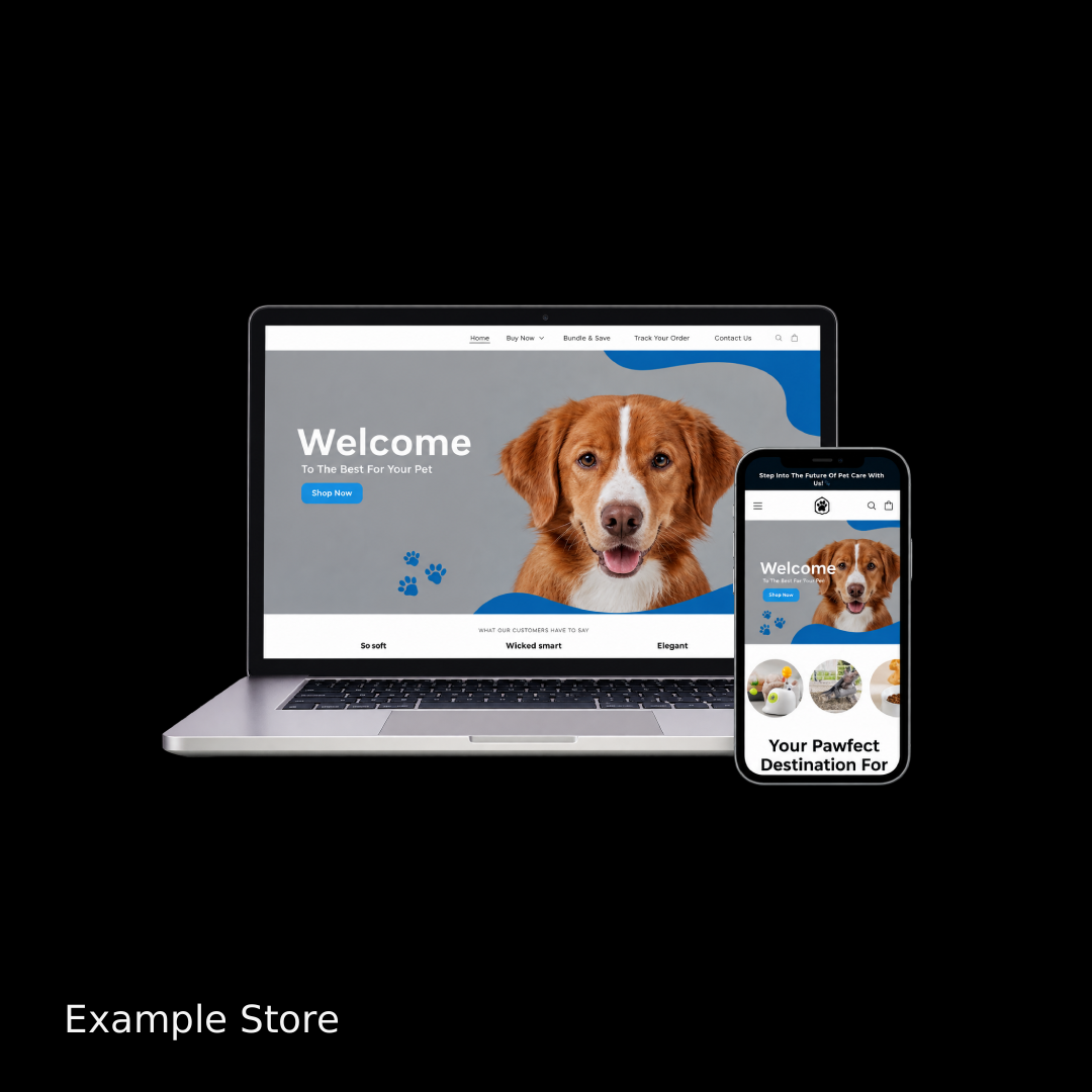 CUSTOM DROPSHIPPING STORE